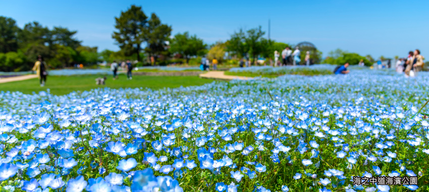 海之中道海濱公園
